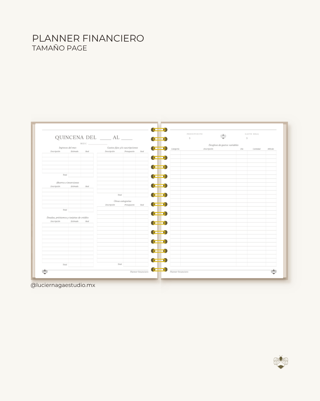 Planner financiero