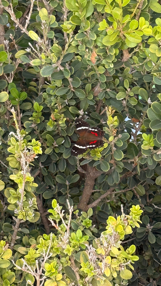 Tomarse un descanso.