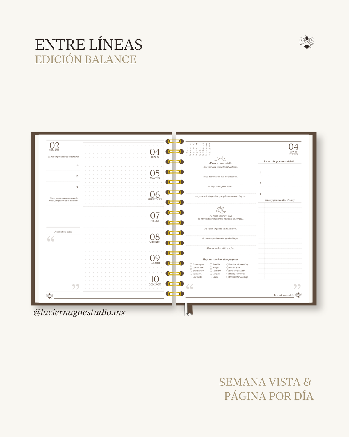 Agenda Entre Líneas 2027 | Edición Balance