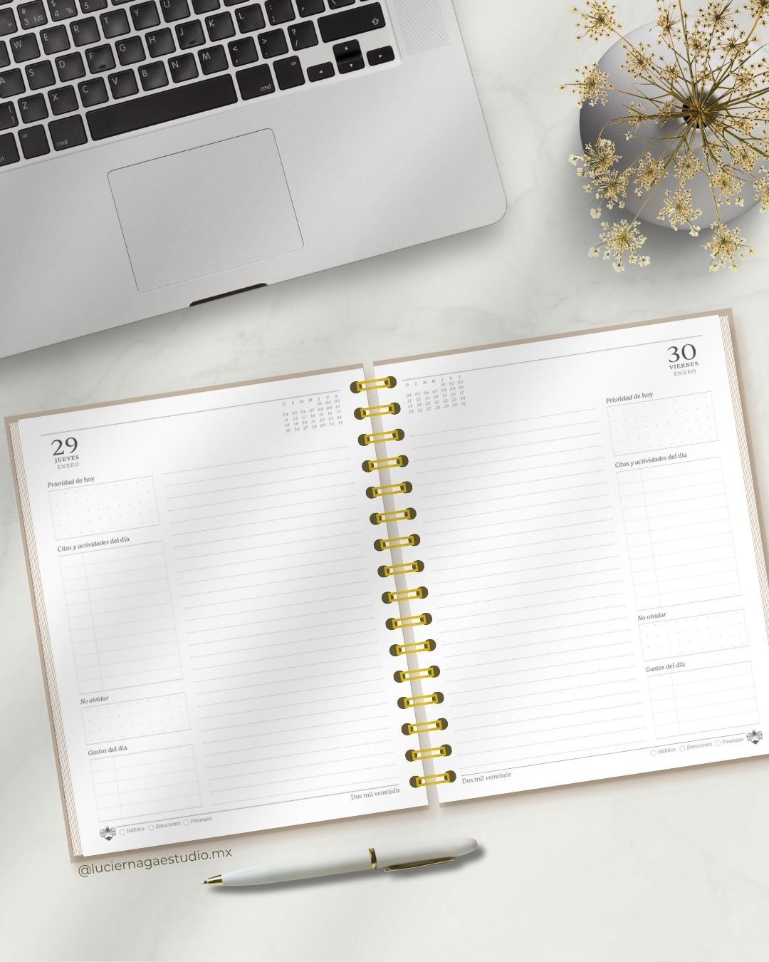 Agenda Diaria Ejecutiva