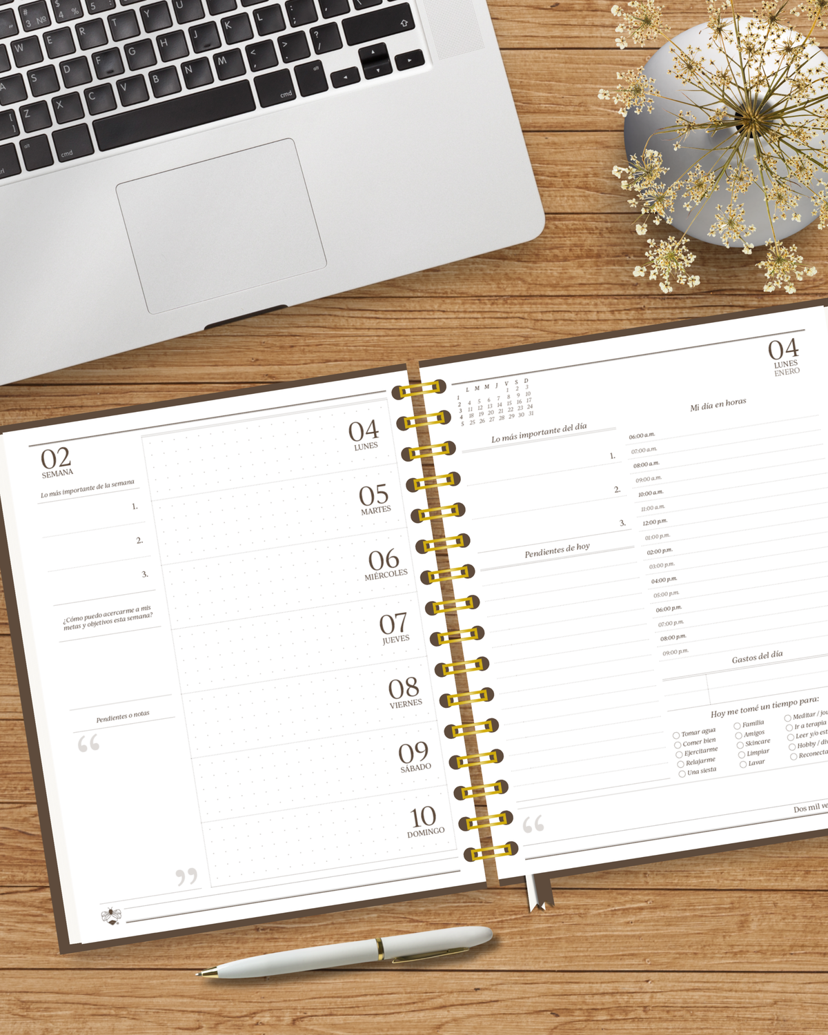Agenda Ritmo 2027 | Edición Balance