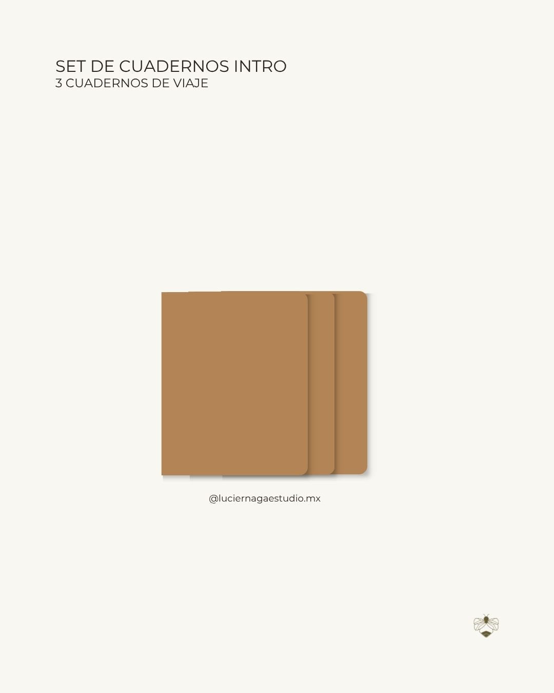 Trío de Cuadernos Intro